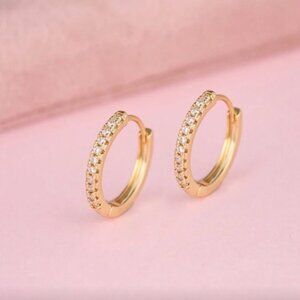 Gold Hoop Earrings Q540